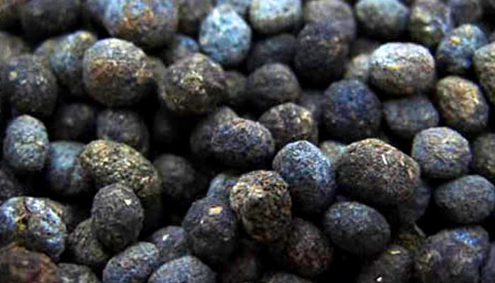 B&Agrave;I THUỐC CỔ CHẾ TỪ PH&Acirc;N NGƯỜI